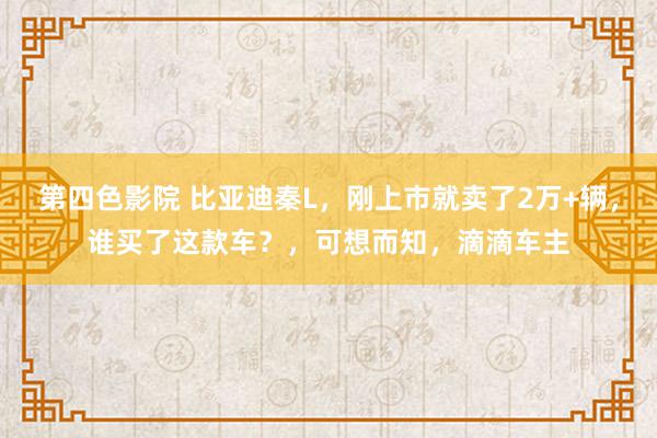 第四色影院 比亚迪秦L，刚上市就卖了2万+辆，谁买了这款车？，可想而知，滴滴车主