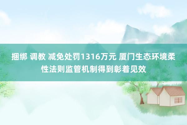 捆绑 调教 减免处罚1316万元 厦门生态环境柔性法则监管机制得到彰着见效