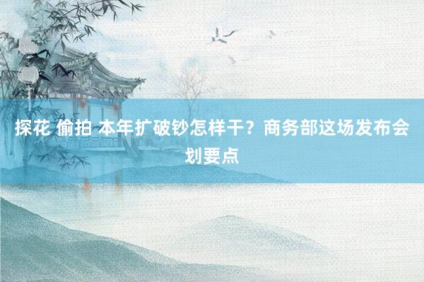 探花 偷拍 本年扩破钞怎样干？商务部这场发布会划要点