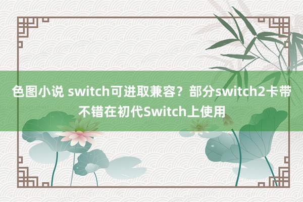 色图小说 switch可进取兼容？部分switch2卡带不错在初代Switch上使用