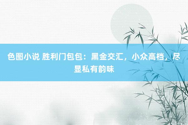 色图小说 胜利门包包：黑金交汇，小众高档，尽显私有韵味
