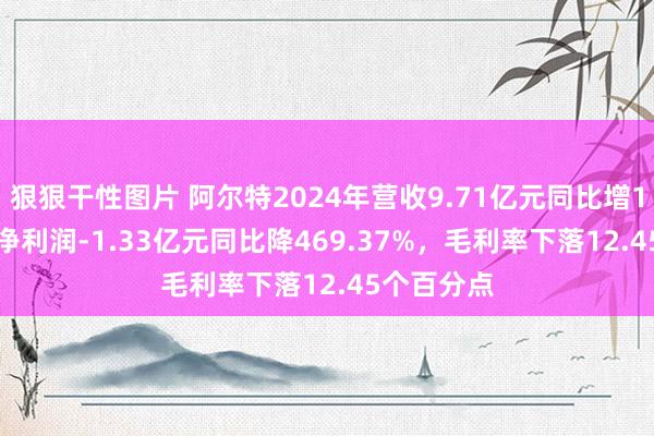 狠狠干性图片 阿尔特2024年营收9.71亿元同比增13.17%，净利润-1.33亿元同比降469.37%，毛利率下落12.45个百分点