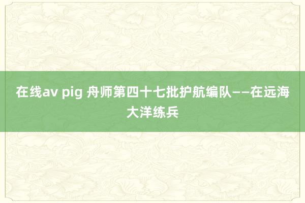在线av pig 舟师第四十七批护航编队——在远海大洋练兵