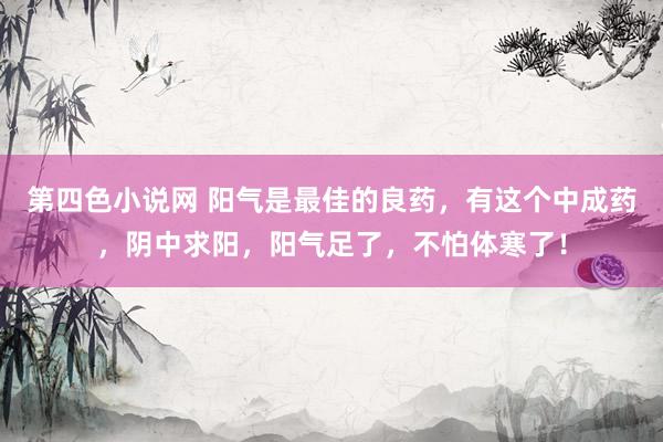 第四色小说网 阳气是最佳的良药，有这个中成药，阴中求阳，阳气足了，不怕体寒了！